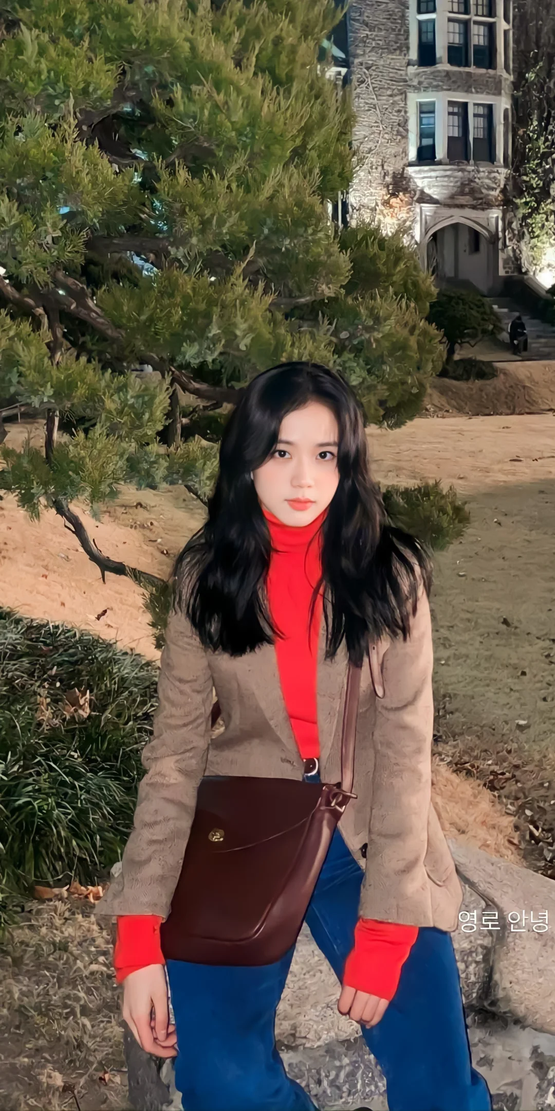 jisoo壁纸大放送🐰🍹