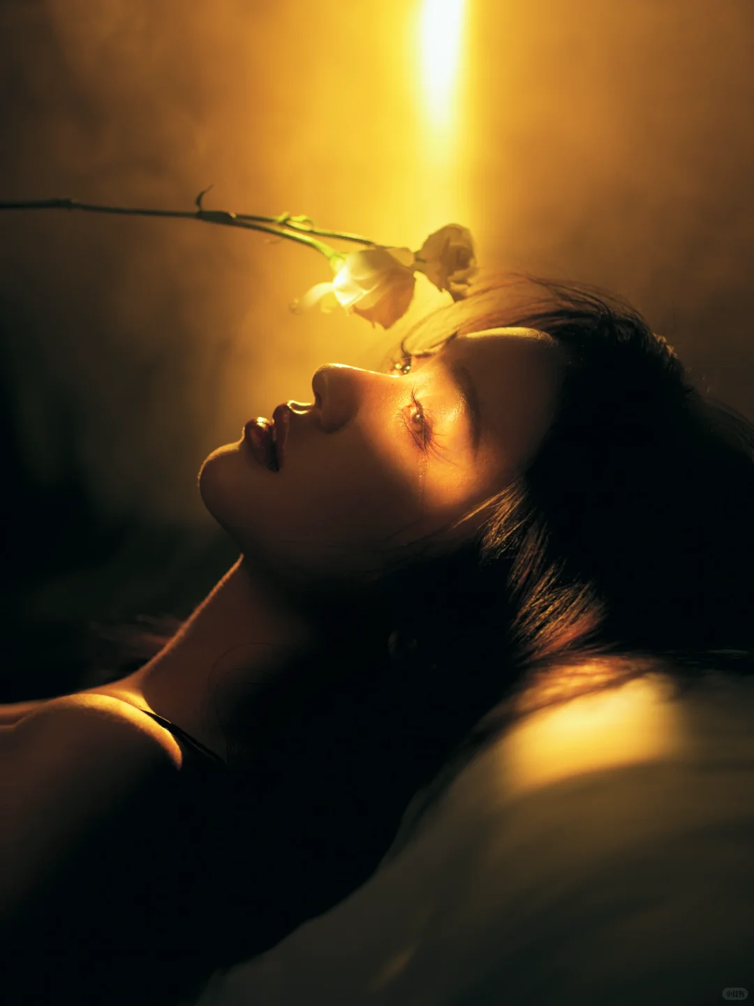 对光影的敏感和对质感的追求🖤