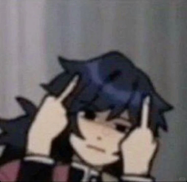 超适合做表情包 只：鬼灭之刃✨