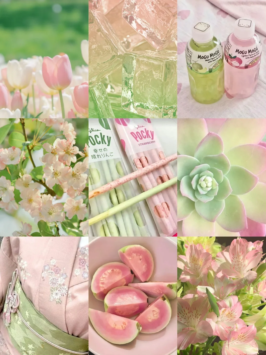 审美积累｜粉绿色｜壁纸头像背景图分享13