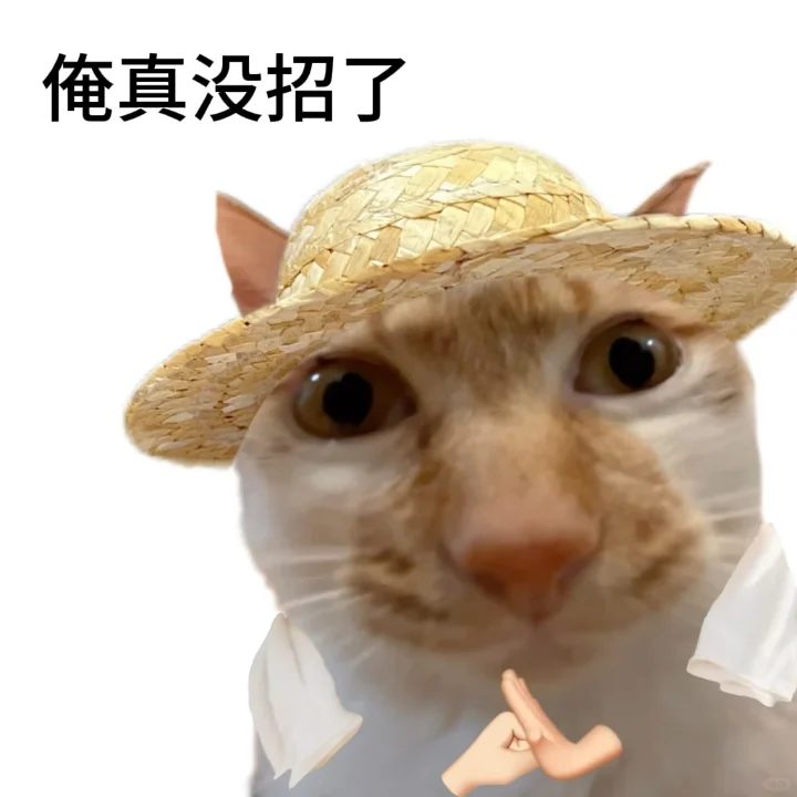 老实人专用表情包献给各位