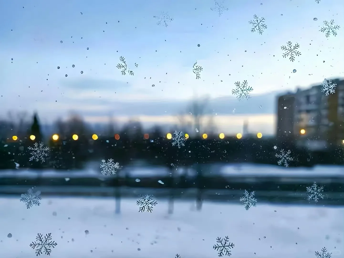今天的雪，可以留在玻璃上❄️