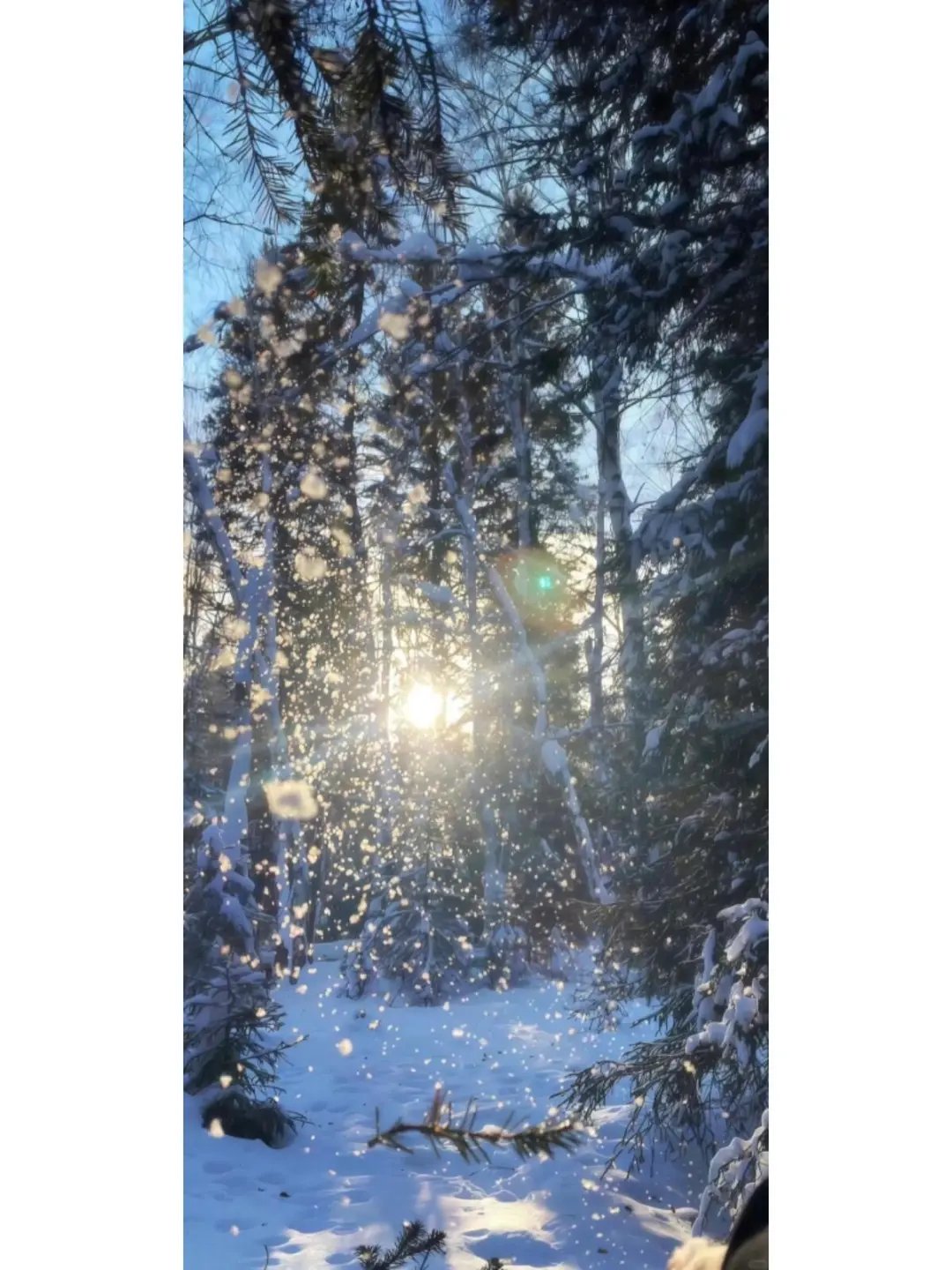 Share｜冬日壁纸