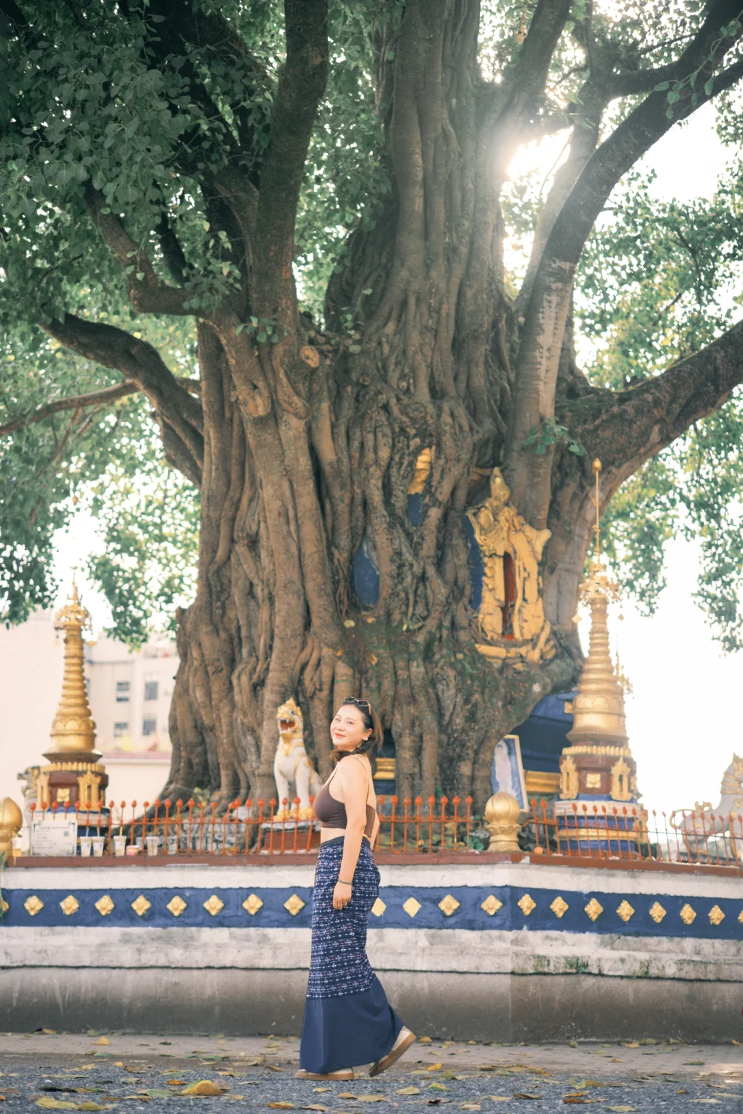 身材松松垮垮往下垂岁月如梭去见想见的人