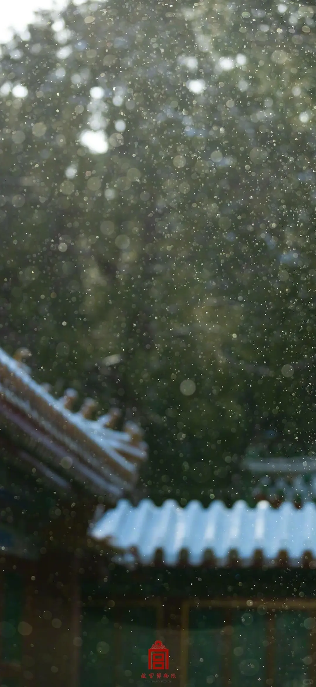 收藏这组壁纸，等于拥有了故宫雪季的入场券