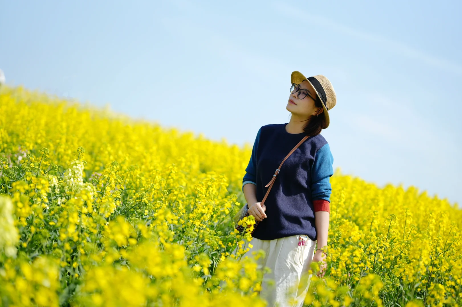 真的可以称之为花“海”的一组油菜花照片