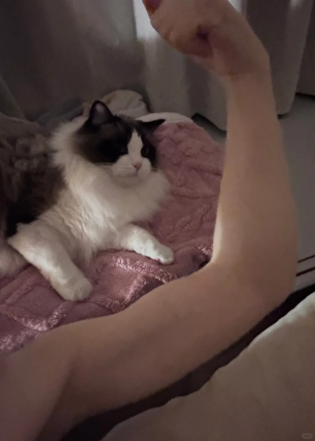 属于薄肌女孩的胳膊肘子！