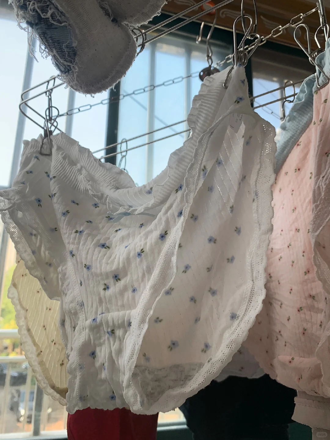 治愈系窗台｜少女感内裤晒单🌼