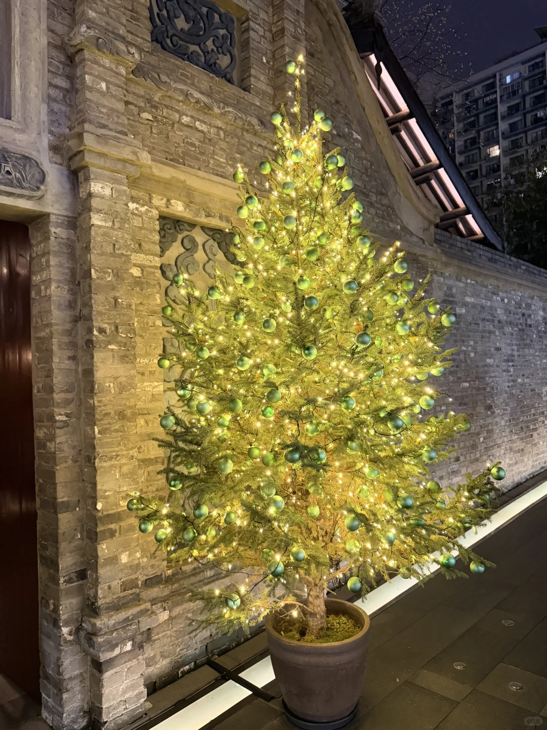 又到了最爱游泳的时间😽