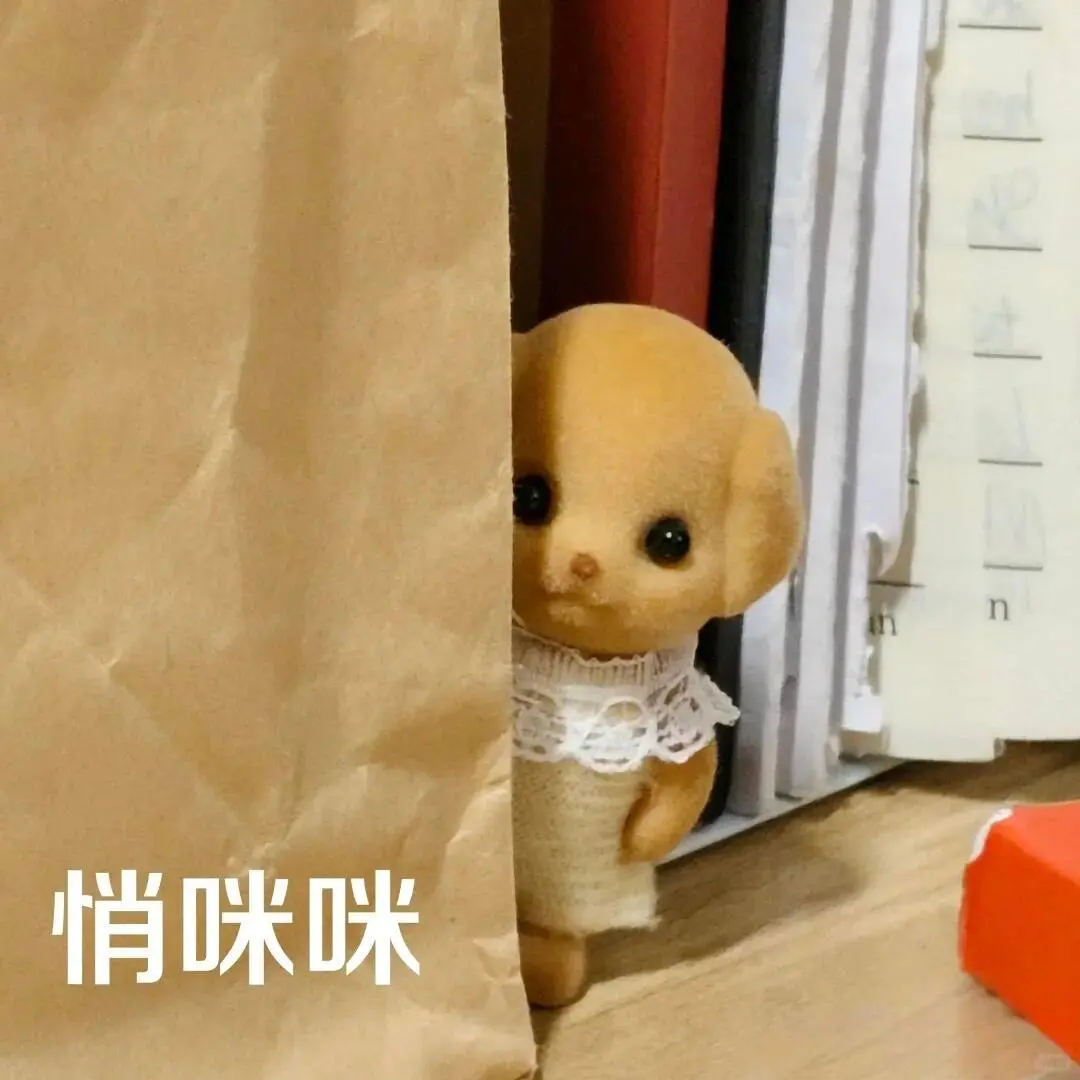 12.4实用表情包分享｜表情包分享