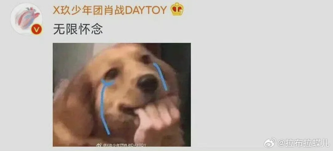 汇总一些肖战抽象猫猫狗狗表情包大户🤣