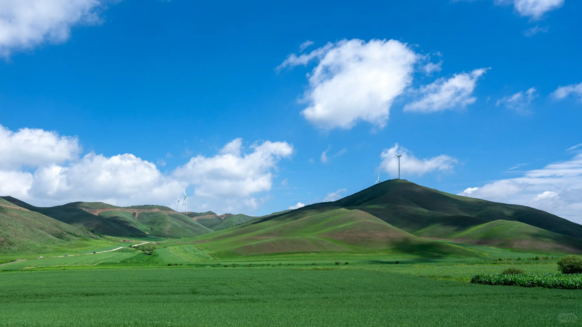 电脑ipad壁纸丨换个绿色壁纸吧