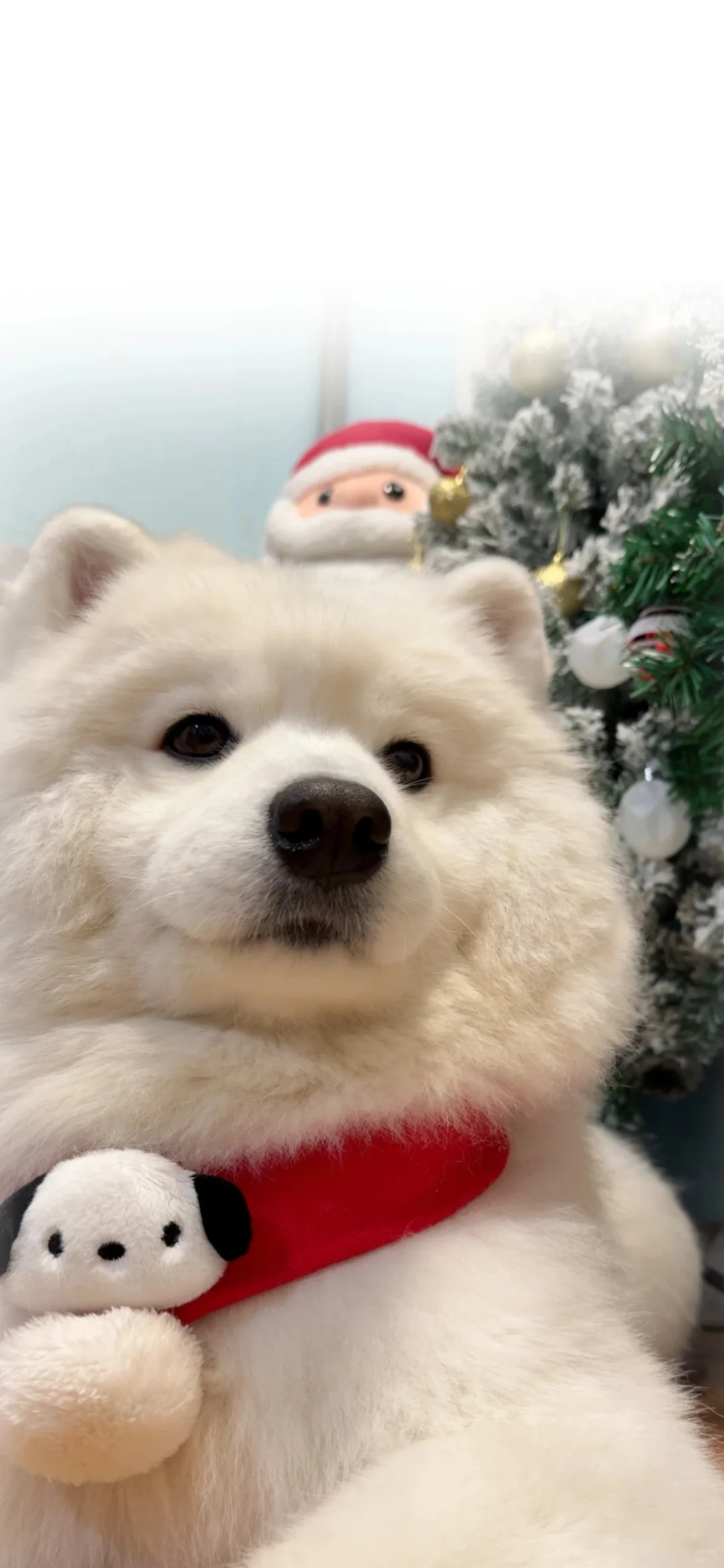 Share|8K超清 氛围感壁纸