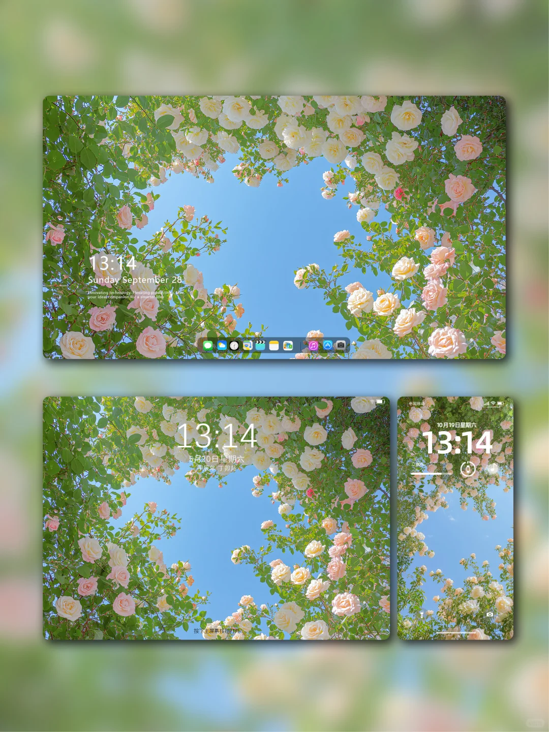 唯美治愈系花海壁纸，太喜欢啦！83