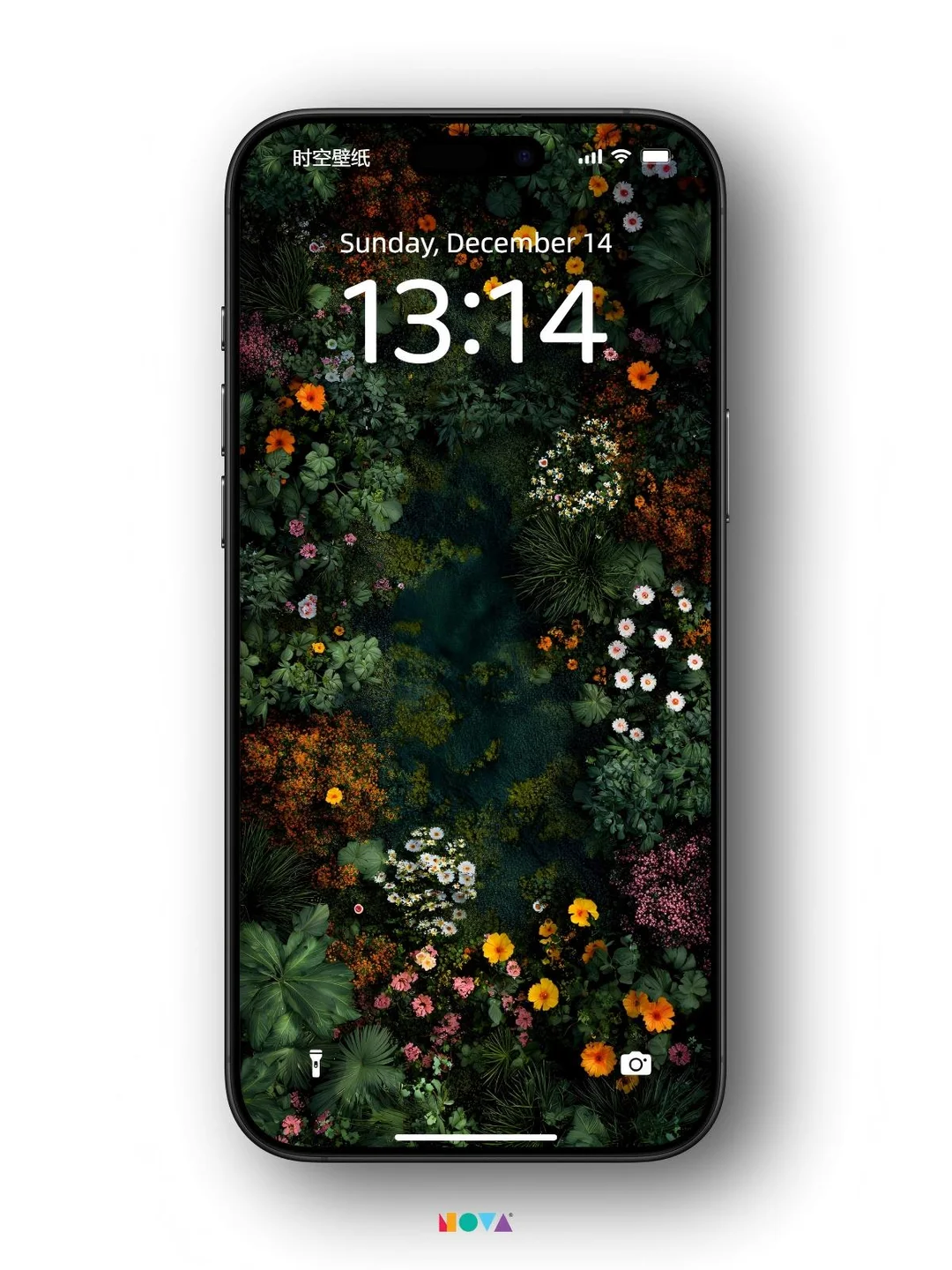 繁林秘境｜手机壁纸｜197