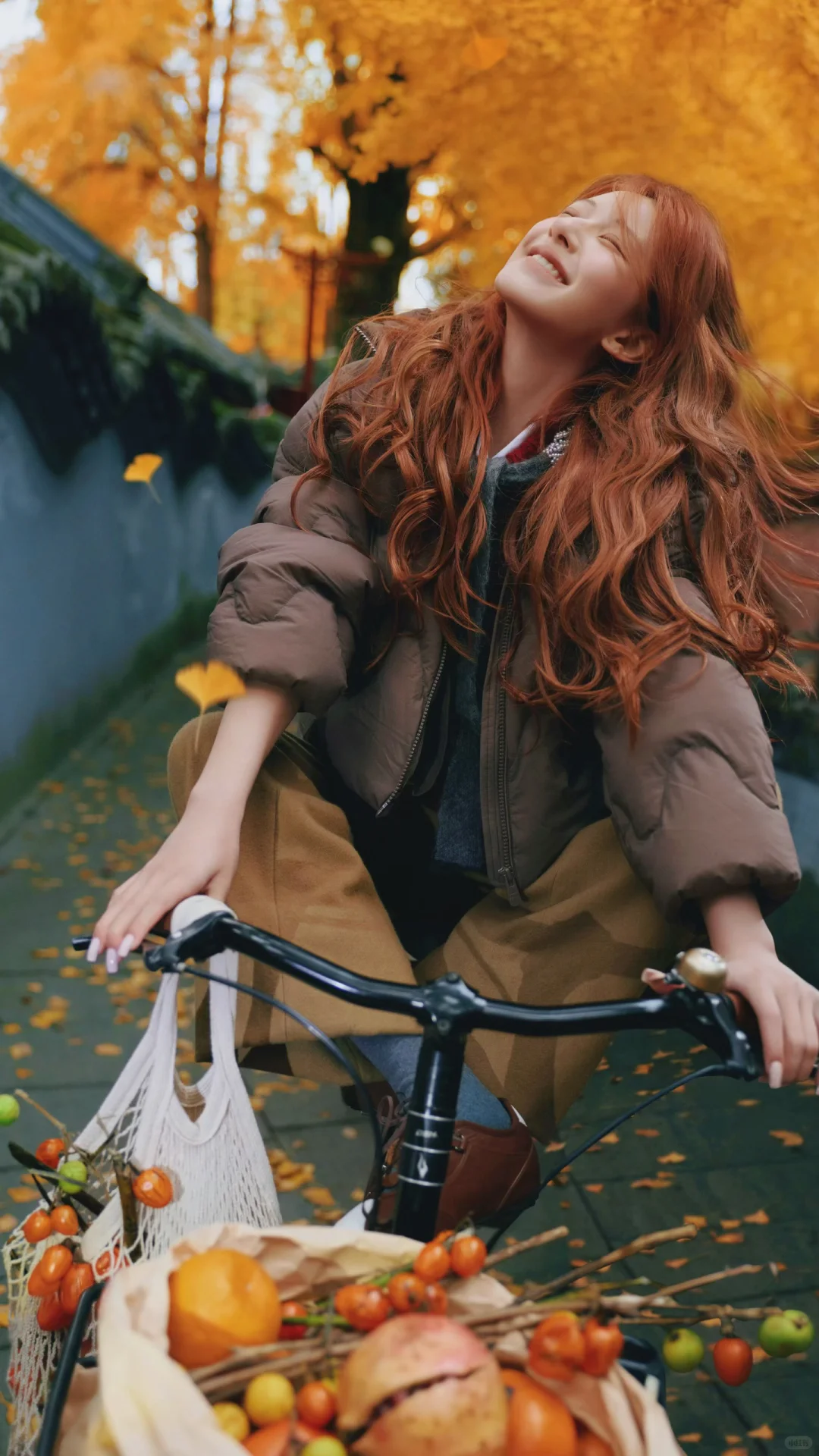 赵露思上城士/自修壁纸10p