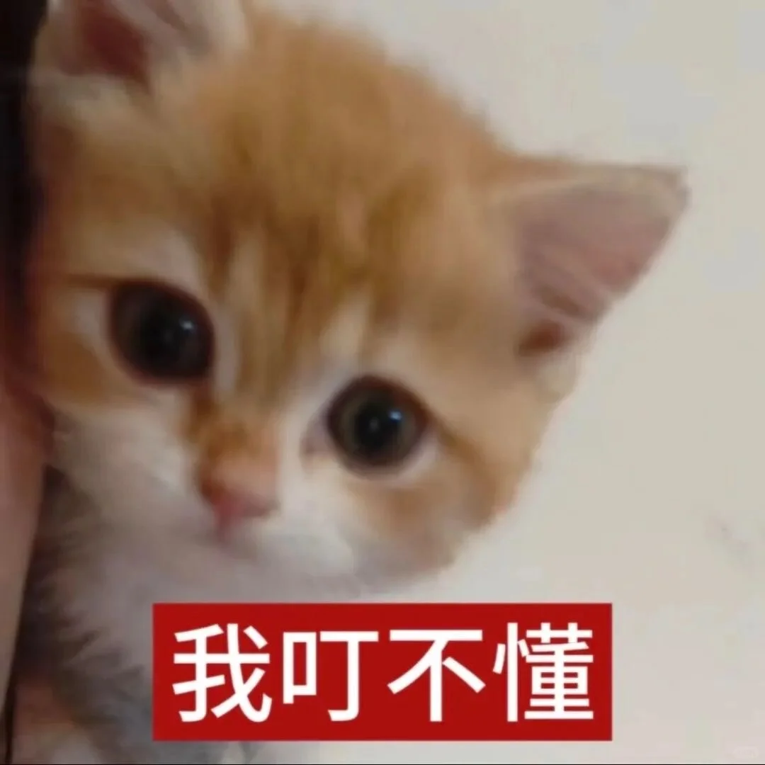审美积累——小猫表情包