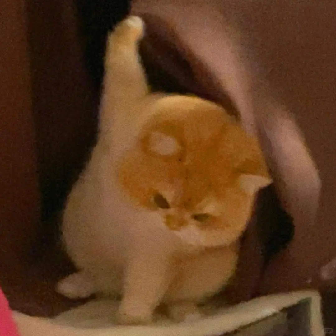 美少女的碎碎念