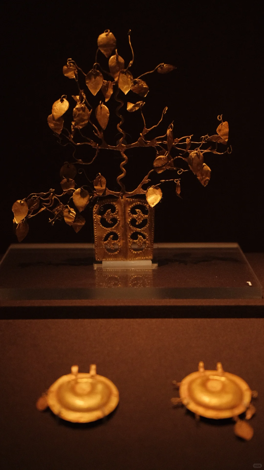 来这里的人都是理直气壮的拜金女！