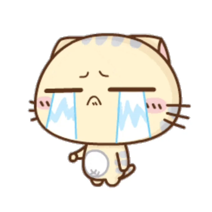 CC猫表情包｜这一路的麻辣鲜香只有自己知道