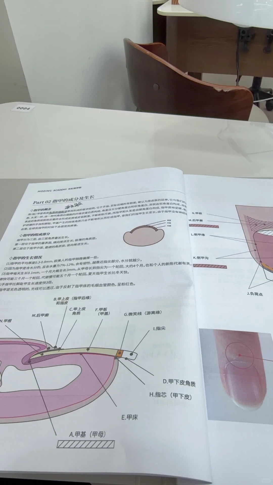 墨尔本大龄美少女回国末町搓甲第一天