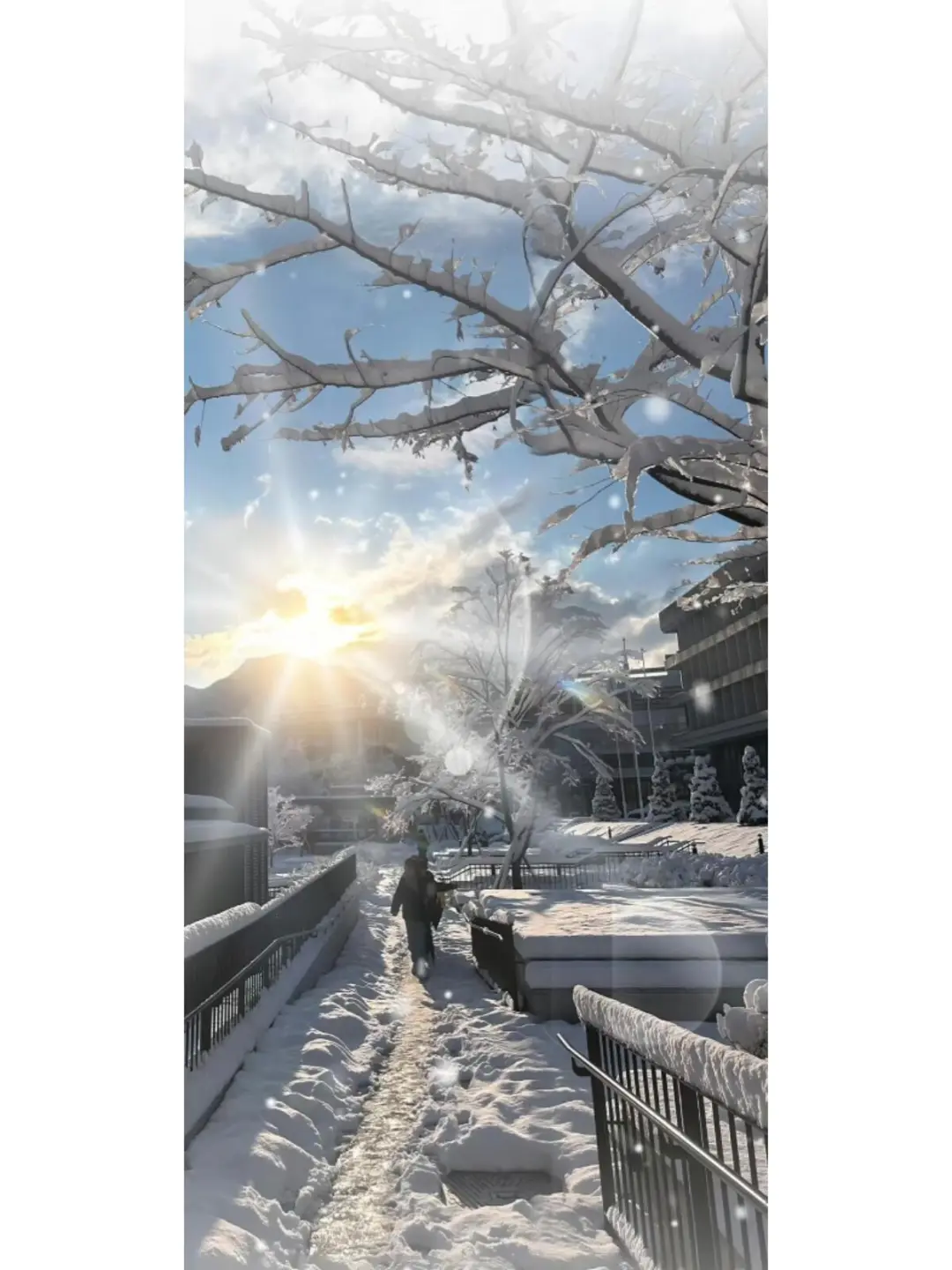 Share｜冬日壁纸