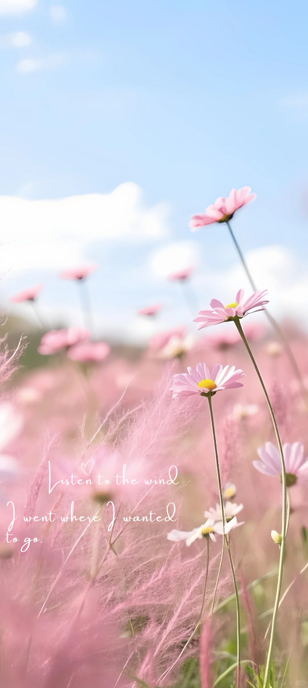 16张高清唯美手机壁纸，刷到速存！