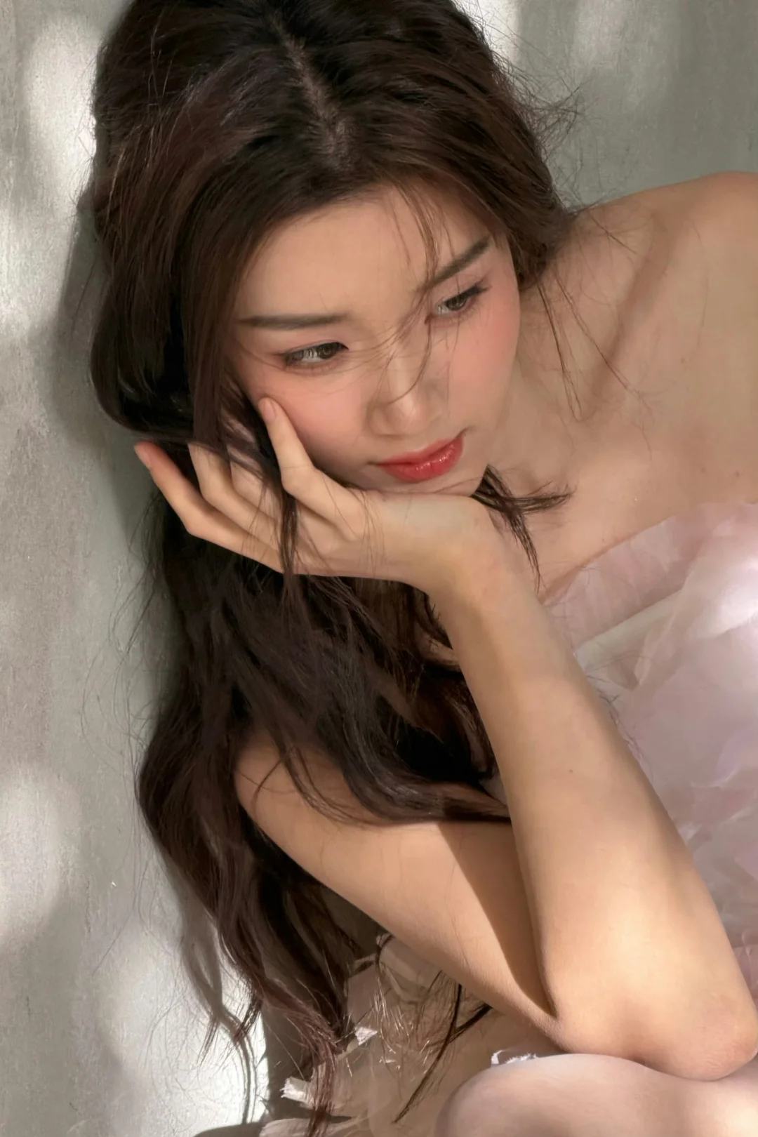 女神和她的茶杯犬炸毛小狗