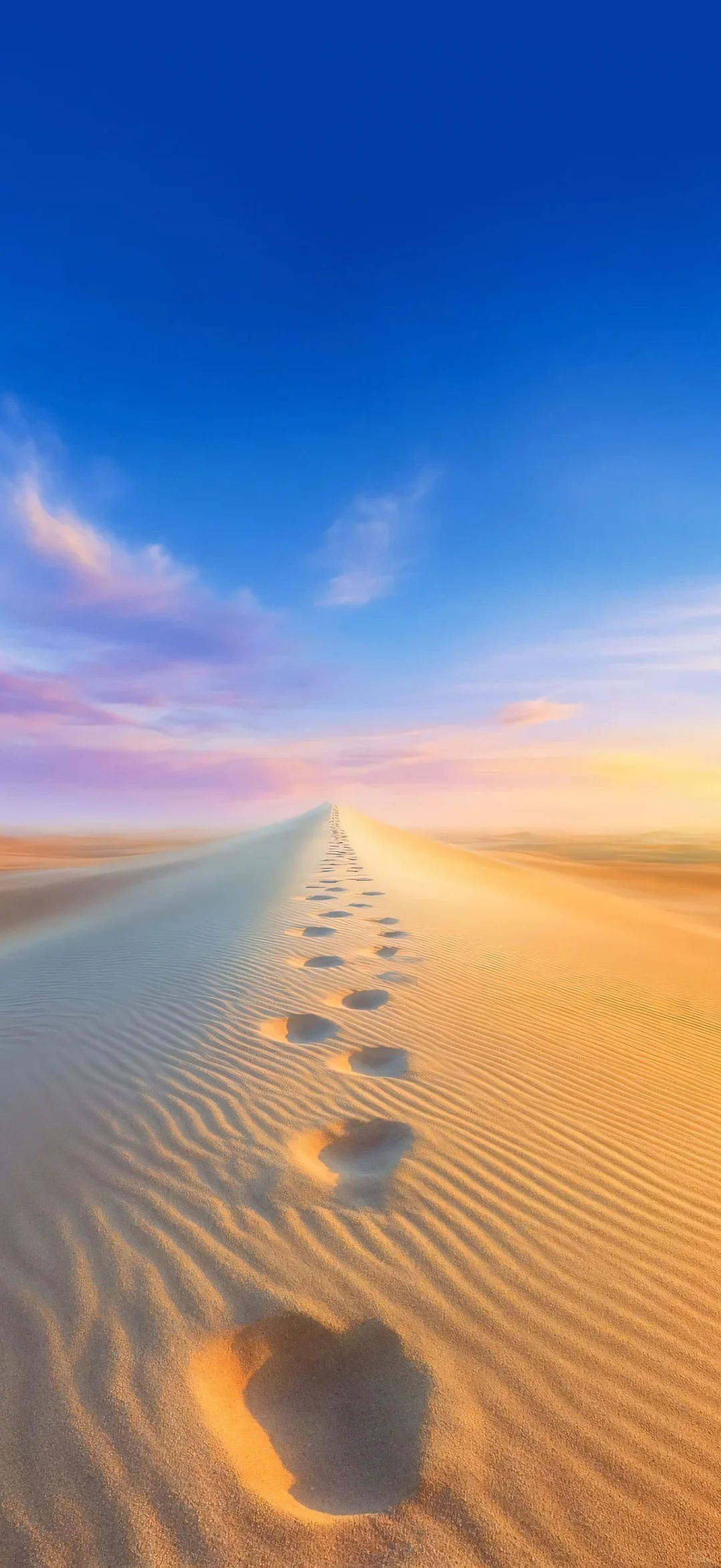 𝑠ℎ𝑎𝑟𝑒|沙漠🏜️系壁纸