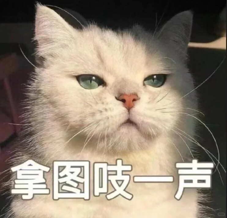 超好看的高级不露脸女头