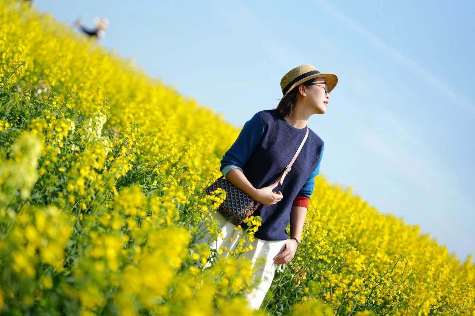 真的可以称之为花“海”的一组油菜花照片