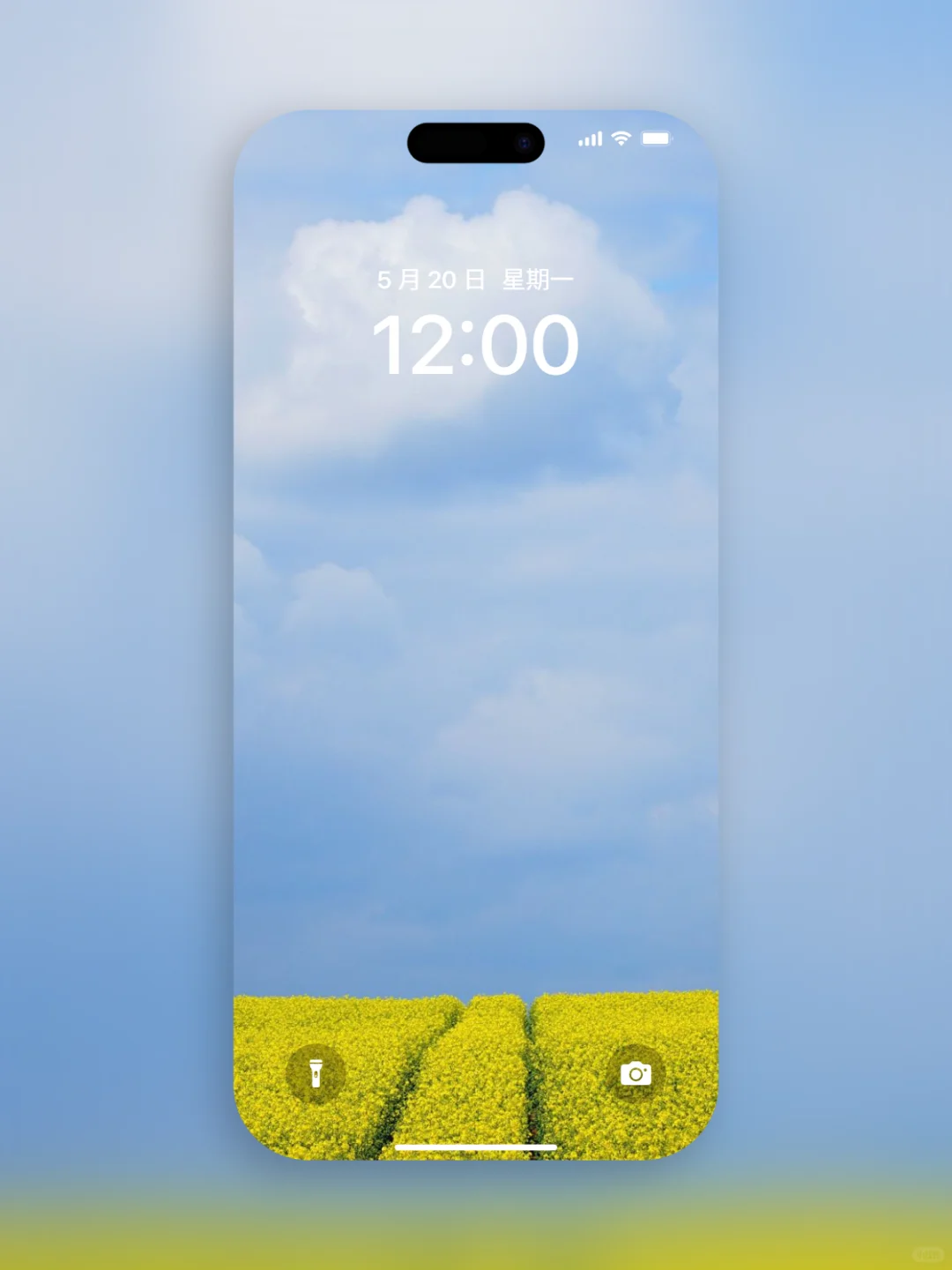 𝐒𝐡𝐚𝐫𝐞｜iPhone壁纸272期