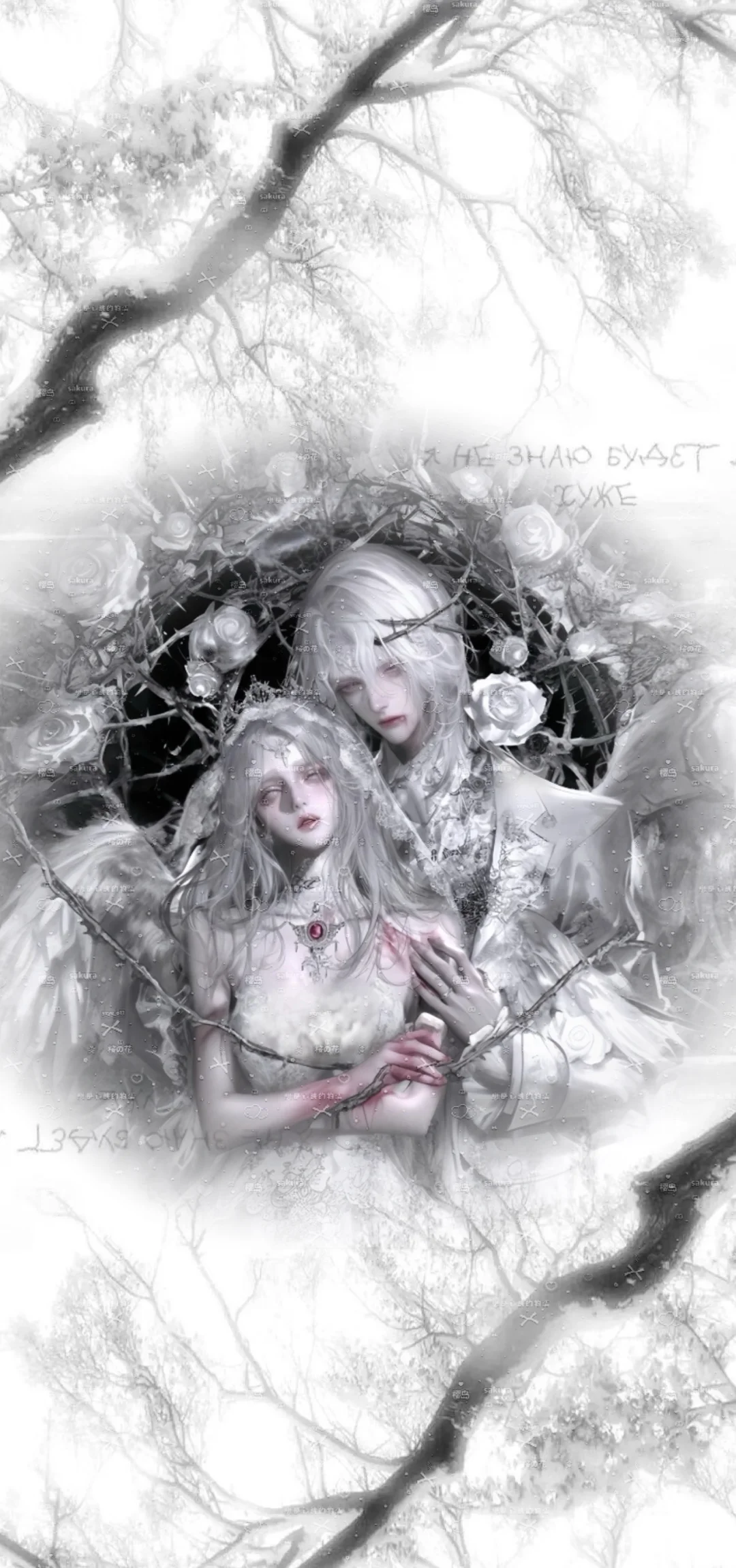 好好看的壁纸🖤