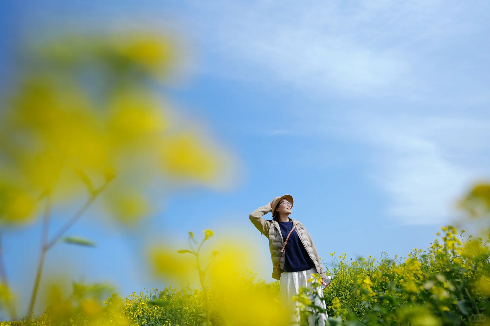 真的可以称之为花“海”的一组油菜花照片