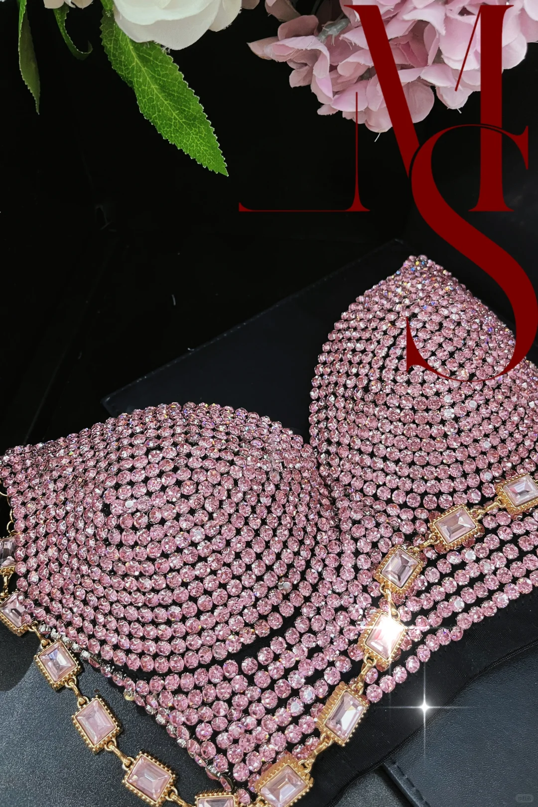 果然还得是我那又粉又闪的鱼骨胸衣（九）