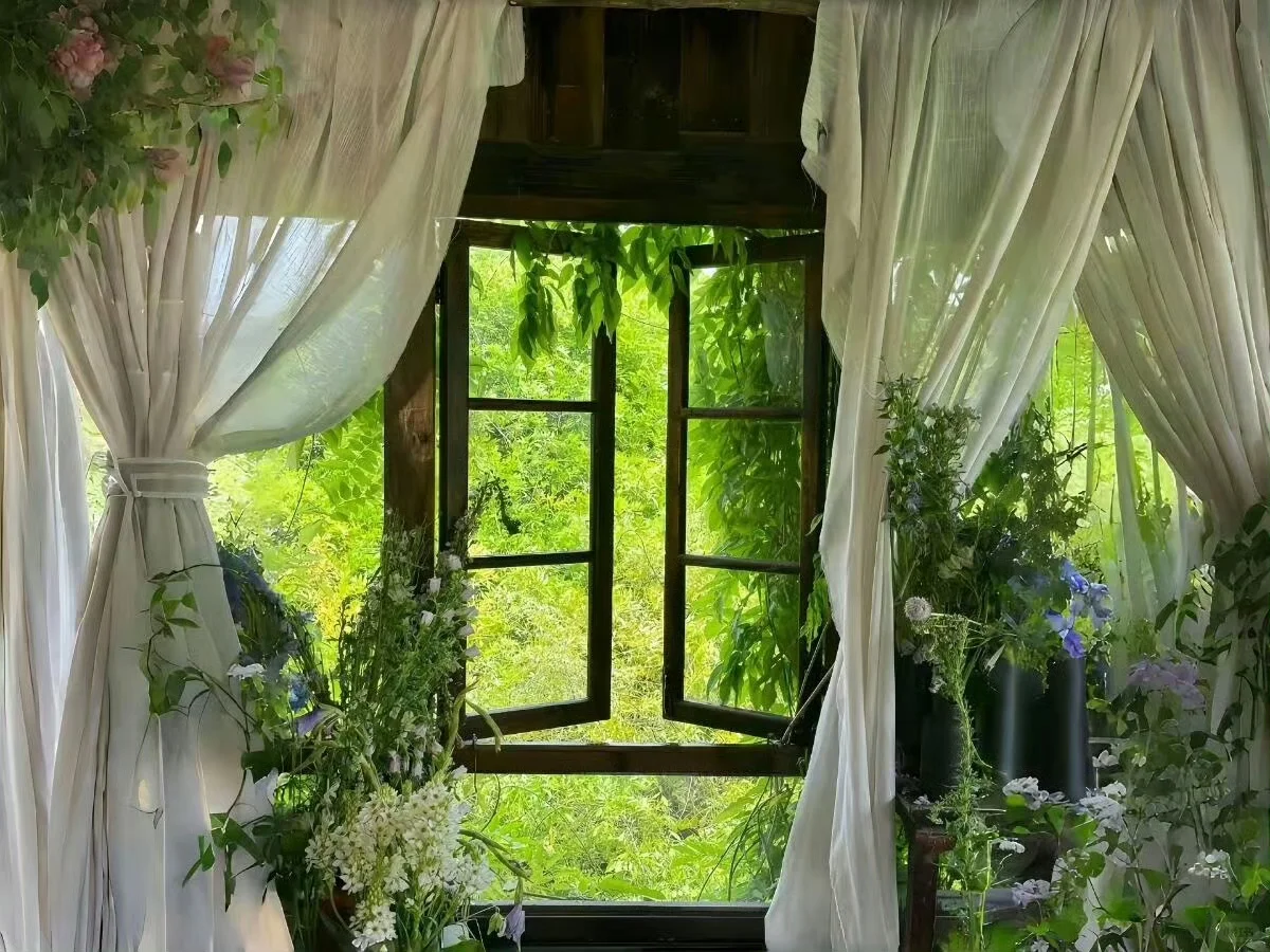 电脑ipad壁纸丨换个绿色壁纸吧