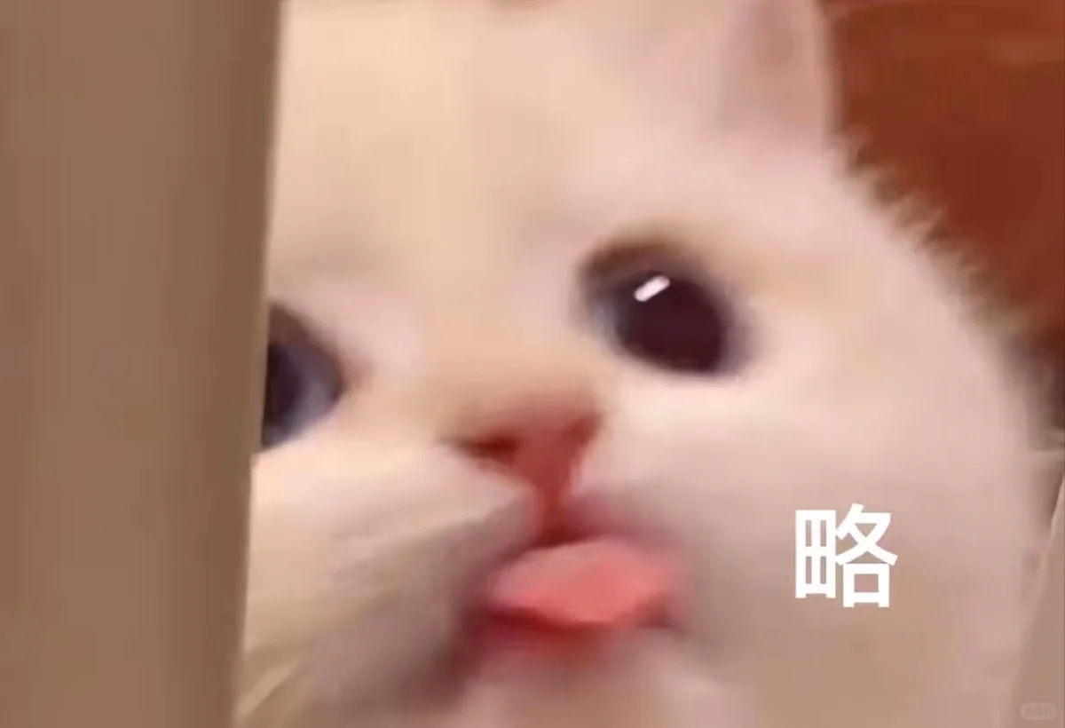 可爱猫咪表情包分享！