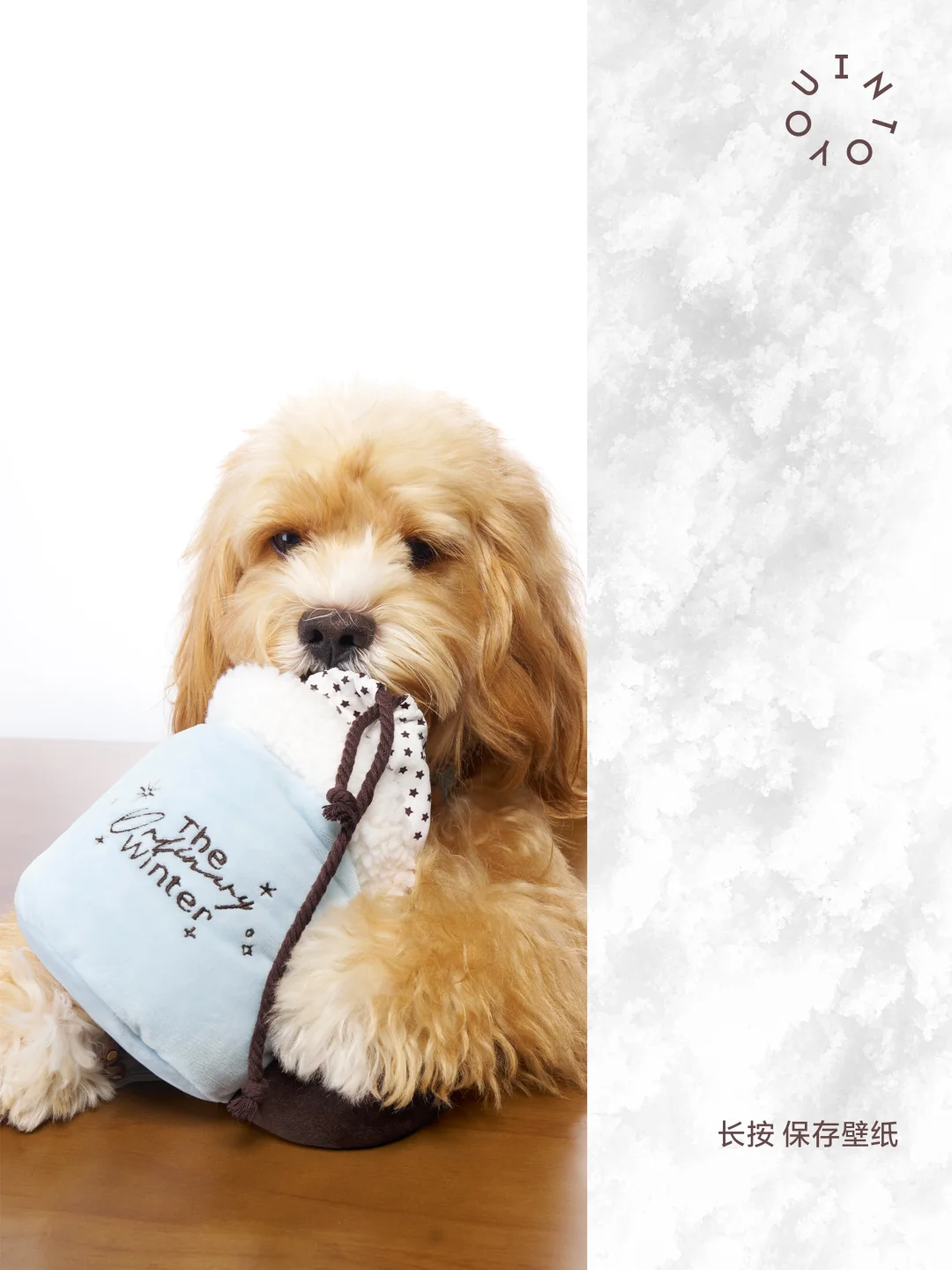 cute as a puppy | 请用宠「雾」壁纸