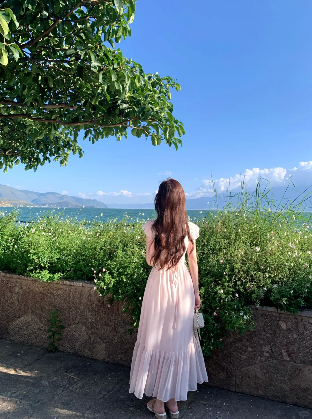 🌸淡粉色长裙｜把温柔和仙气焊在身上