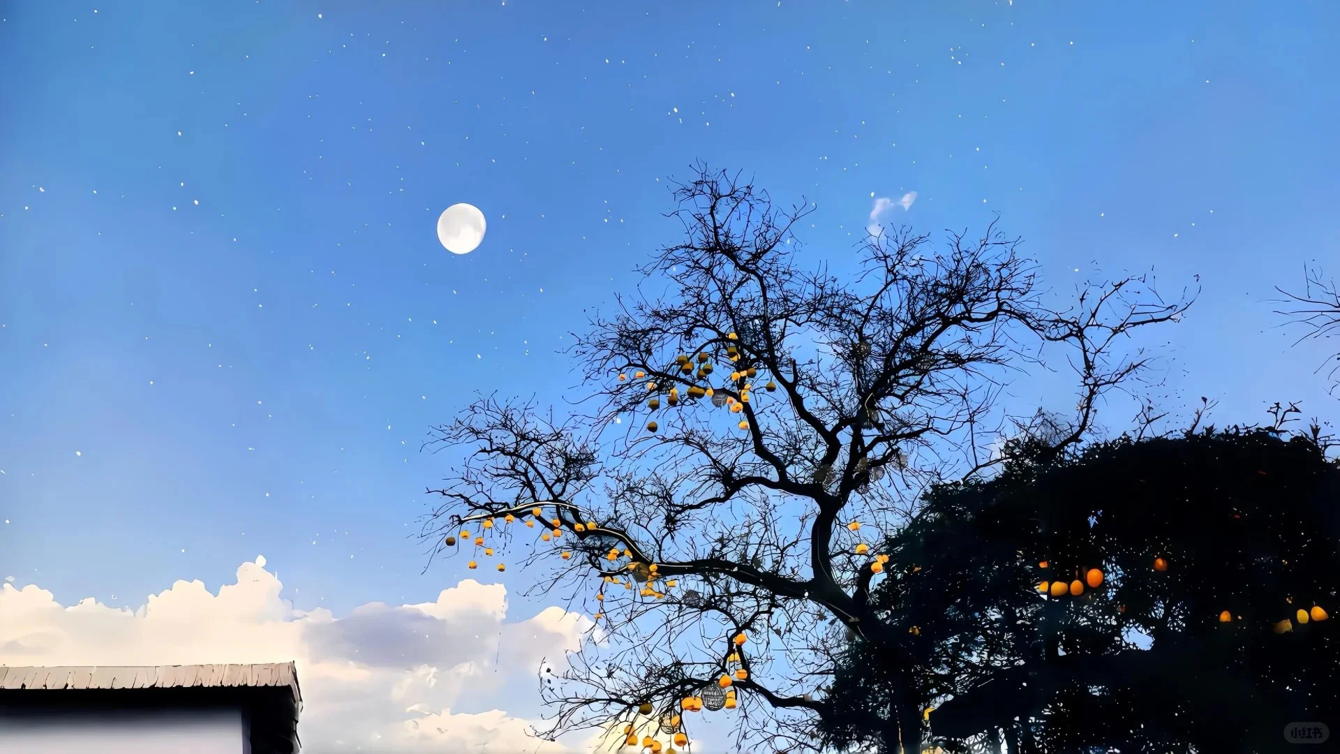 是好看的｜iPad/电脑壁纸呀