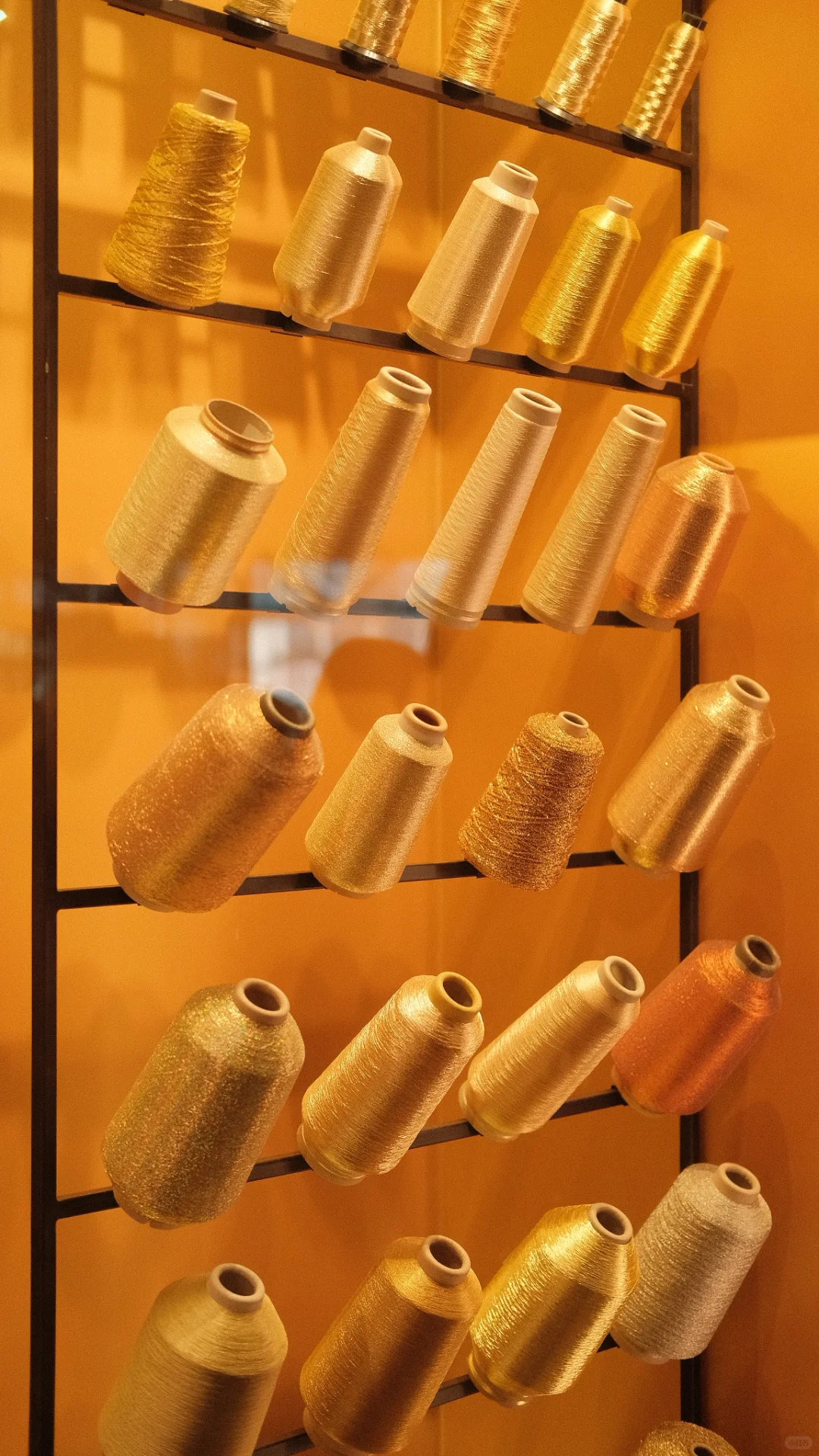 来这里的人都是理直气壮的拜金女！