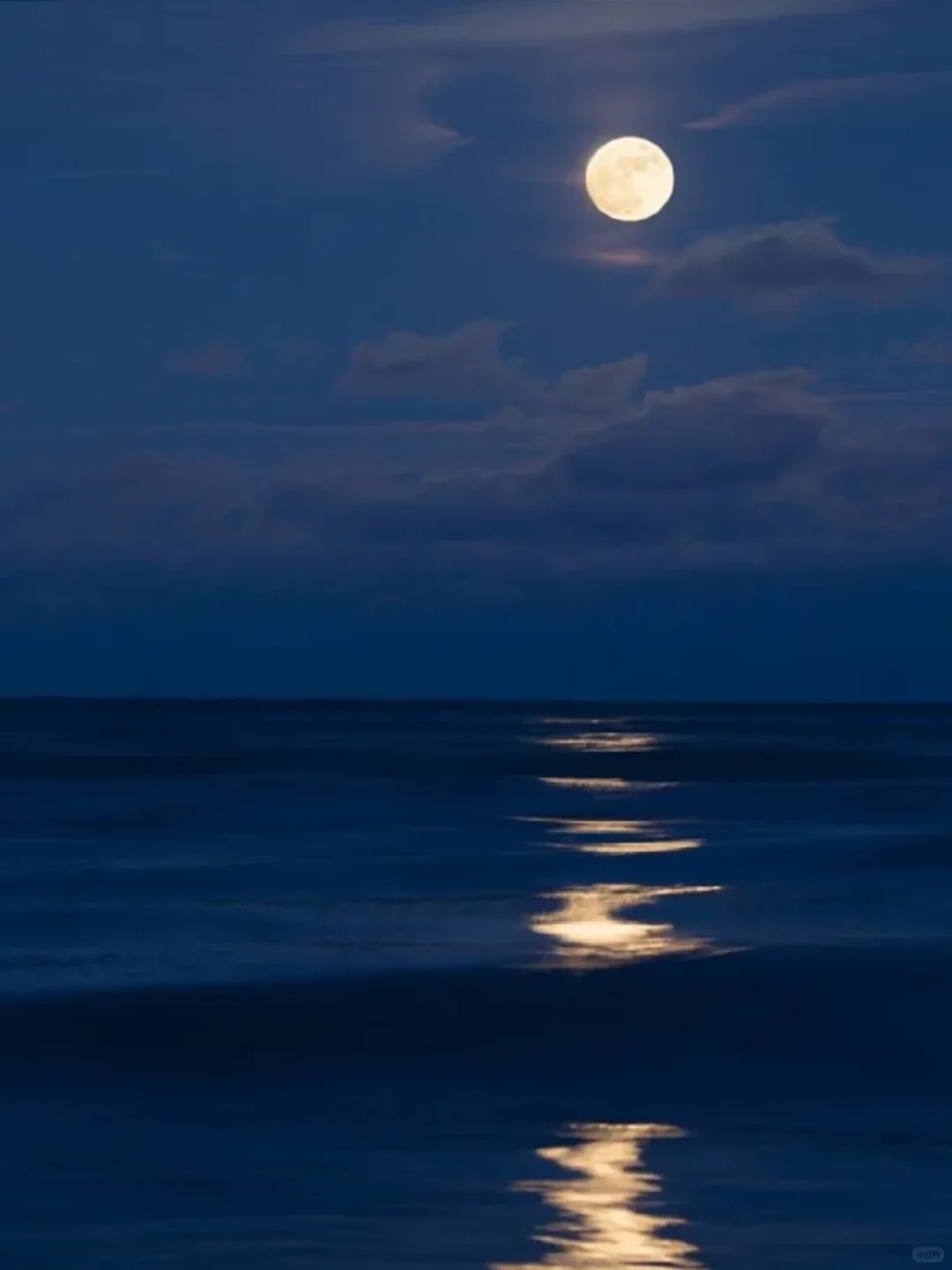 这是日月的浪漫约会