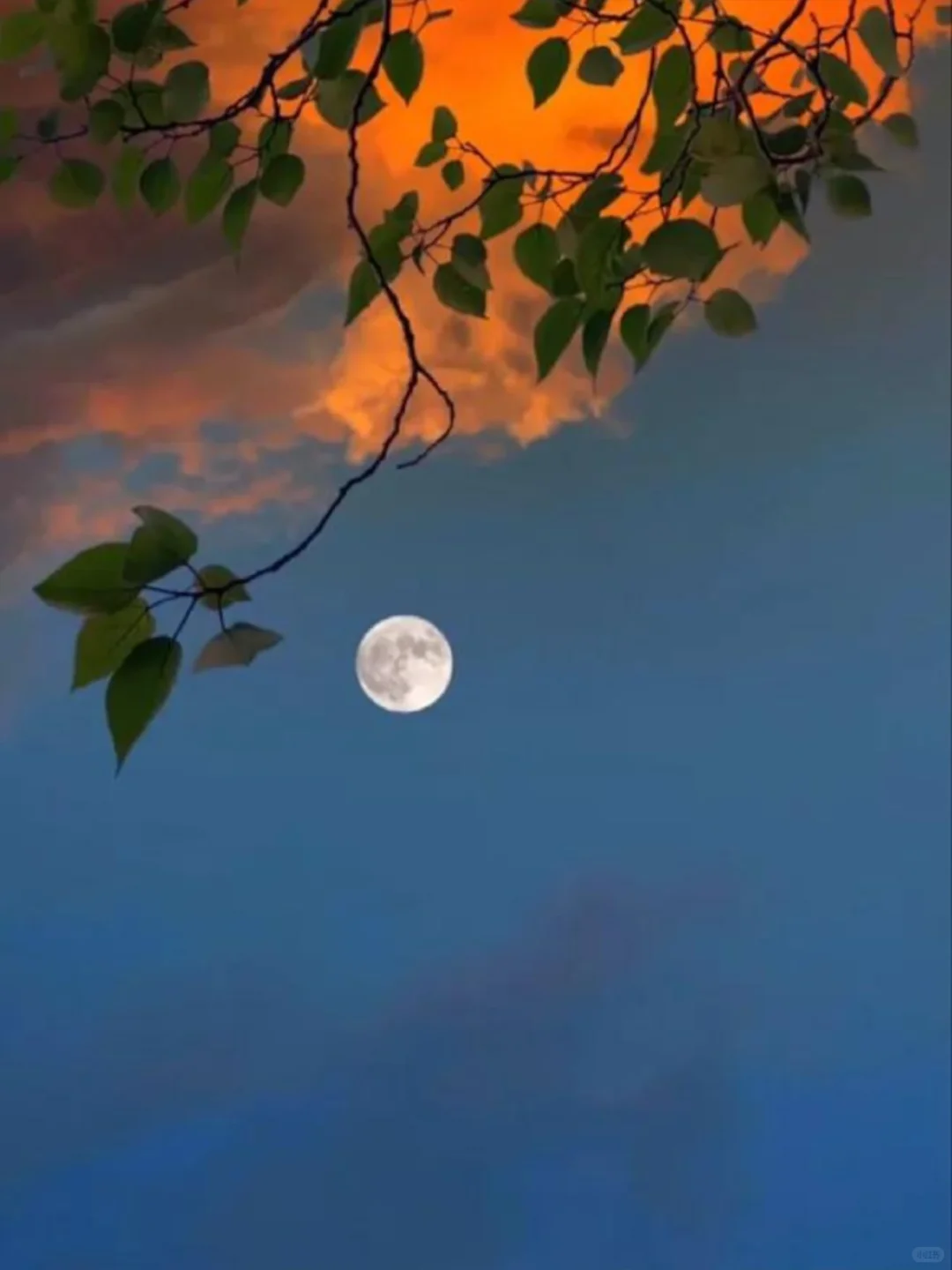 这是日月的浪漫约会