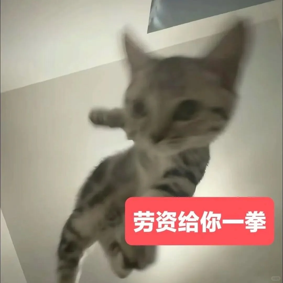 审美积累——小猫表情包