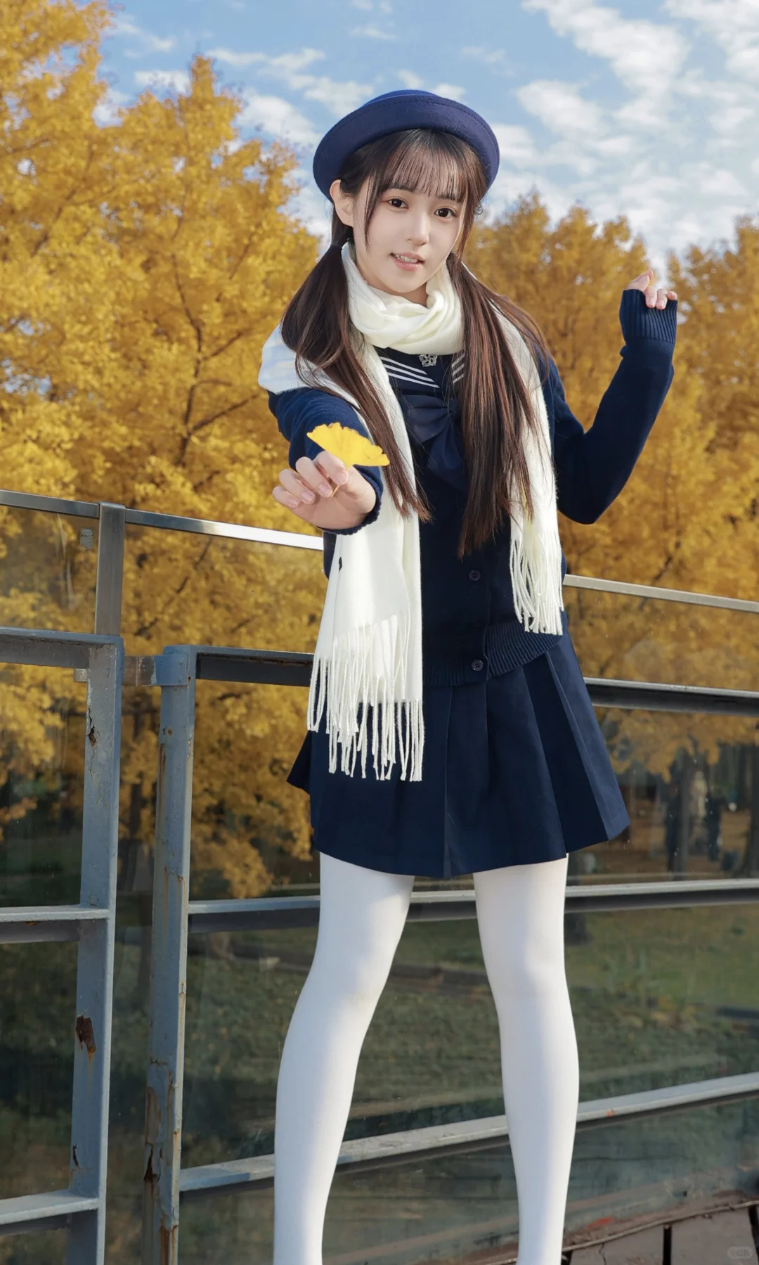 抓住秋天的尾巴，去拍银杏叶黄啦🍂