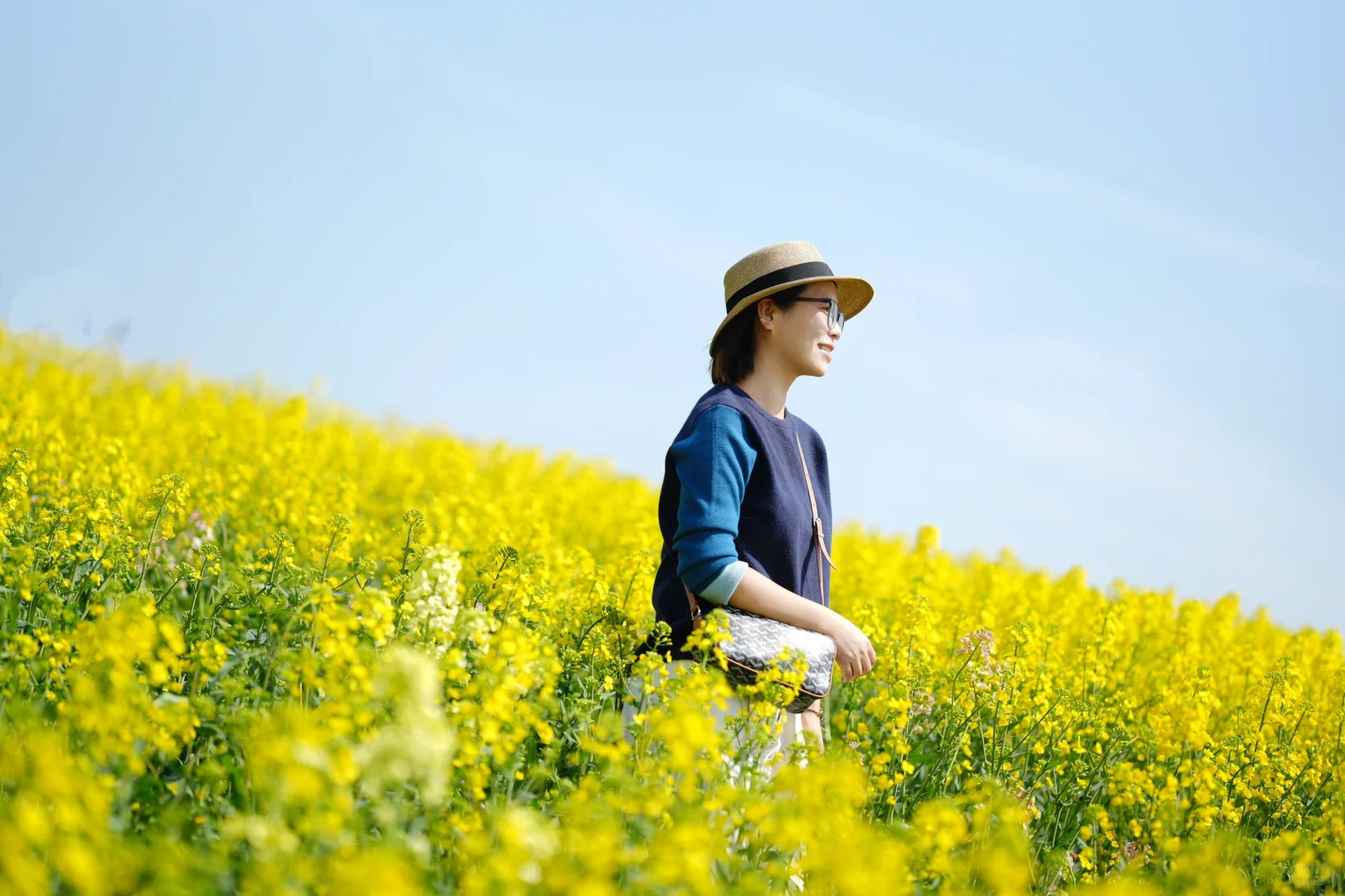 真的可以称之为花“海”的一组油菜花照片