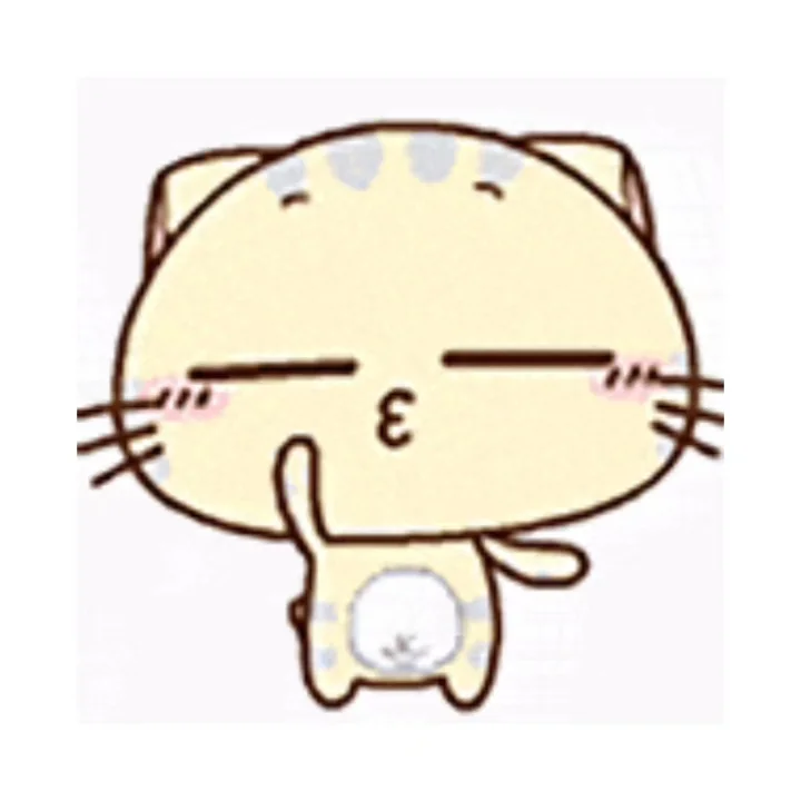 CC猫表情包｜这一路的麻辣鲜香只有自己知道