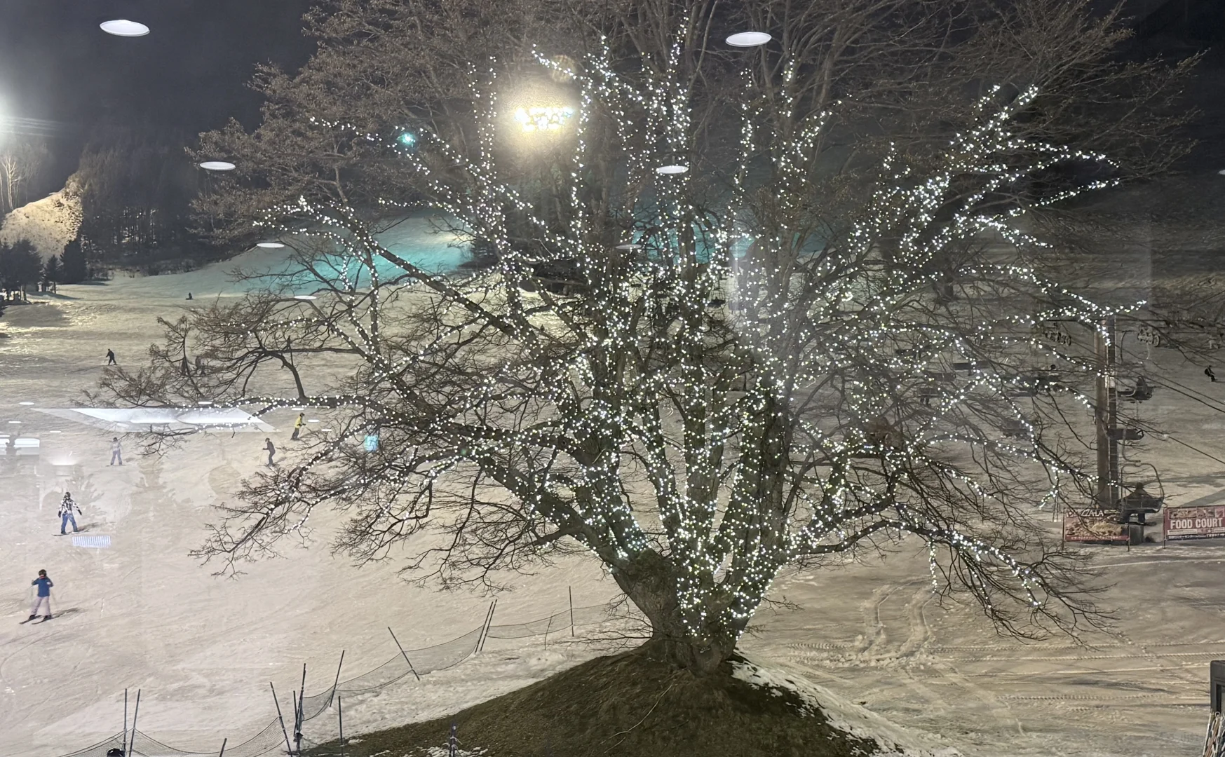 今年的裙子全被雪花占领了