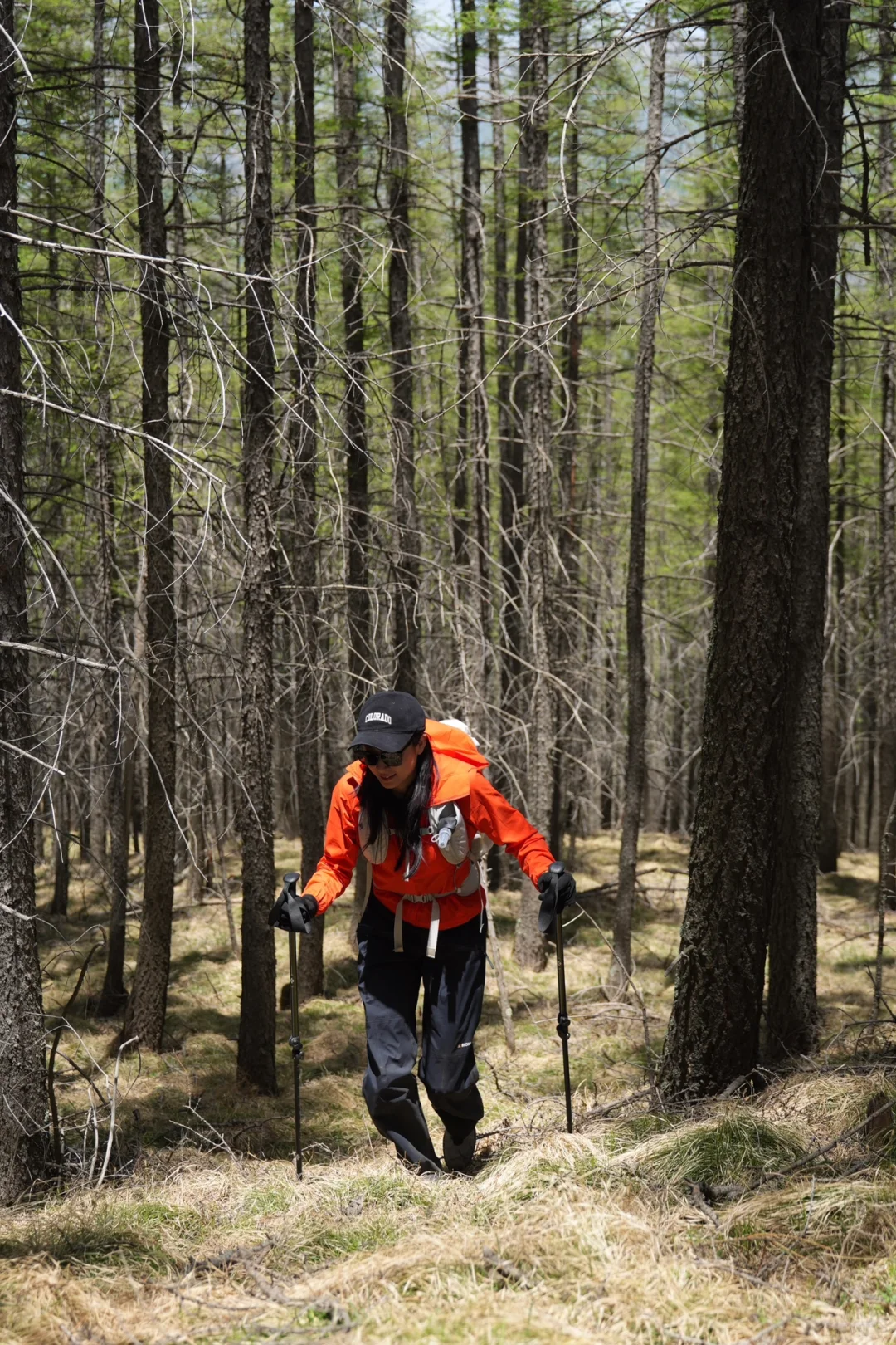 人在大自然中会变得漂亮