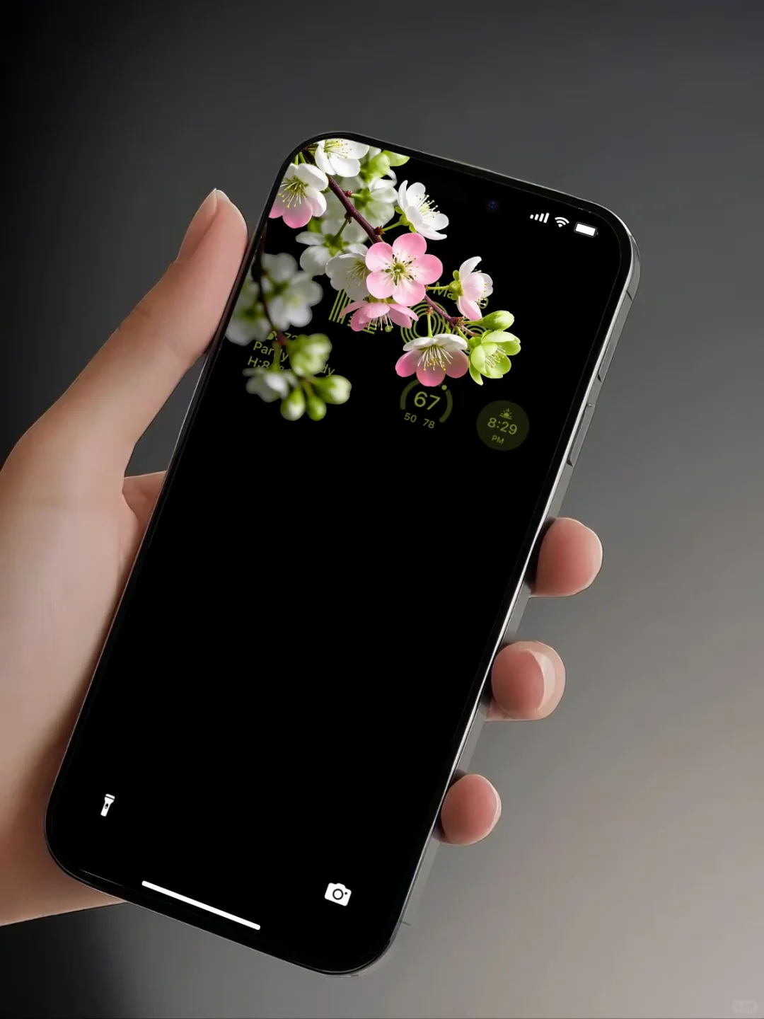 简约高级感｜一树花开～飘粉